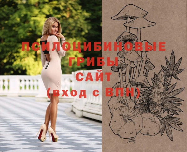 PSILOCYBIN Абинск