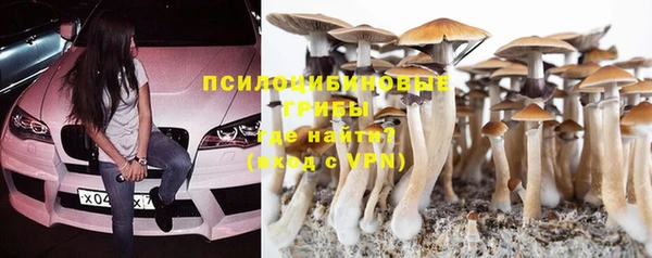 прущая мука Алексеевка