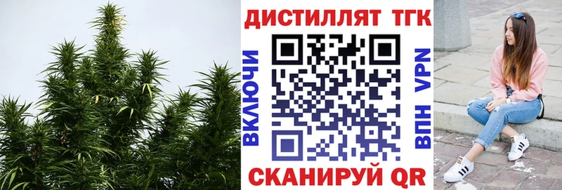 где купить наркоту  KRAKEN   ТГК Wax  Оса 