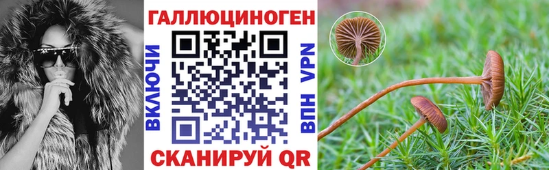 Галлюциногенные грибы ЛСД  блэк спрут зеркало  Оса 